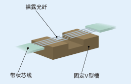 图片12.png