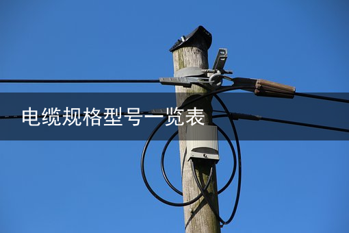 电缆（扬普电缆）一根电缆 从贵州“直通”国际市场，电缆线回收