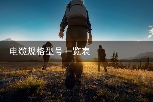 电缆（扬普）【奋进的春天】一根电缆 从贵州“直通”国际市场，