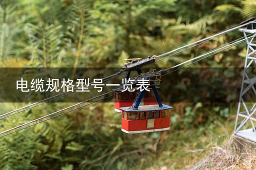 电缆（扬普）武汉多村凌晨莫名停电，小偷剪10千伏电缆险殒命，