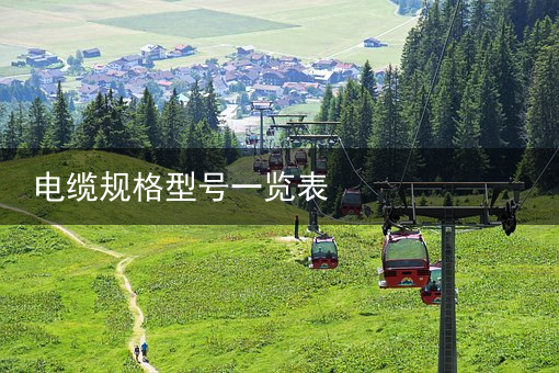 电缆（拖链电缆）东方电缆（603606）2月24日主力资金净