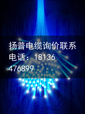 柔性电缆（特种电缆）柔性线缆的ANCF动力学模型与仿真，德国