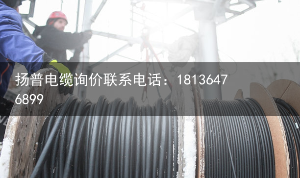 柔性电缆（室外综合网线）下一个ASML？量子计算机被一根线卡