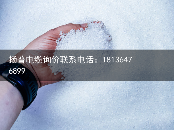 拖链电缆（扬普）建设“全链条”社工服务新格局，杨浦这个社工站