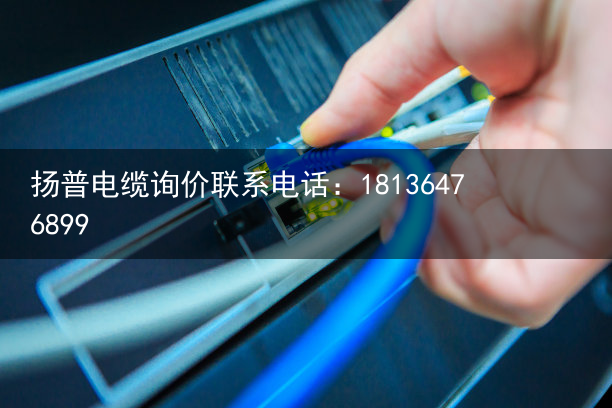 拖链电缆（扬普）圆桌丨着力提升产业链供应链韧性和安全水平，拖