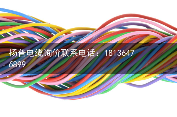 拖链电缆（卷筒电缆）吉林市委书记胡斌深入全市重点企业调研时强