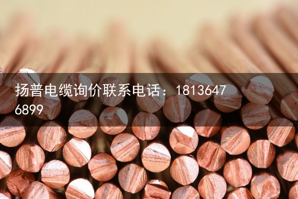 拖链电缆（光纤复合电缆）邦邦汽服荣获第五届汽配供应链金星奖·